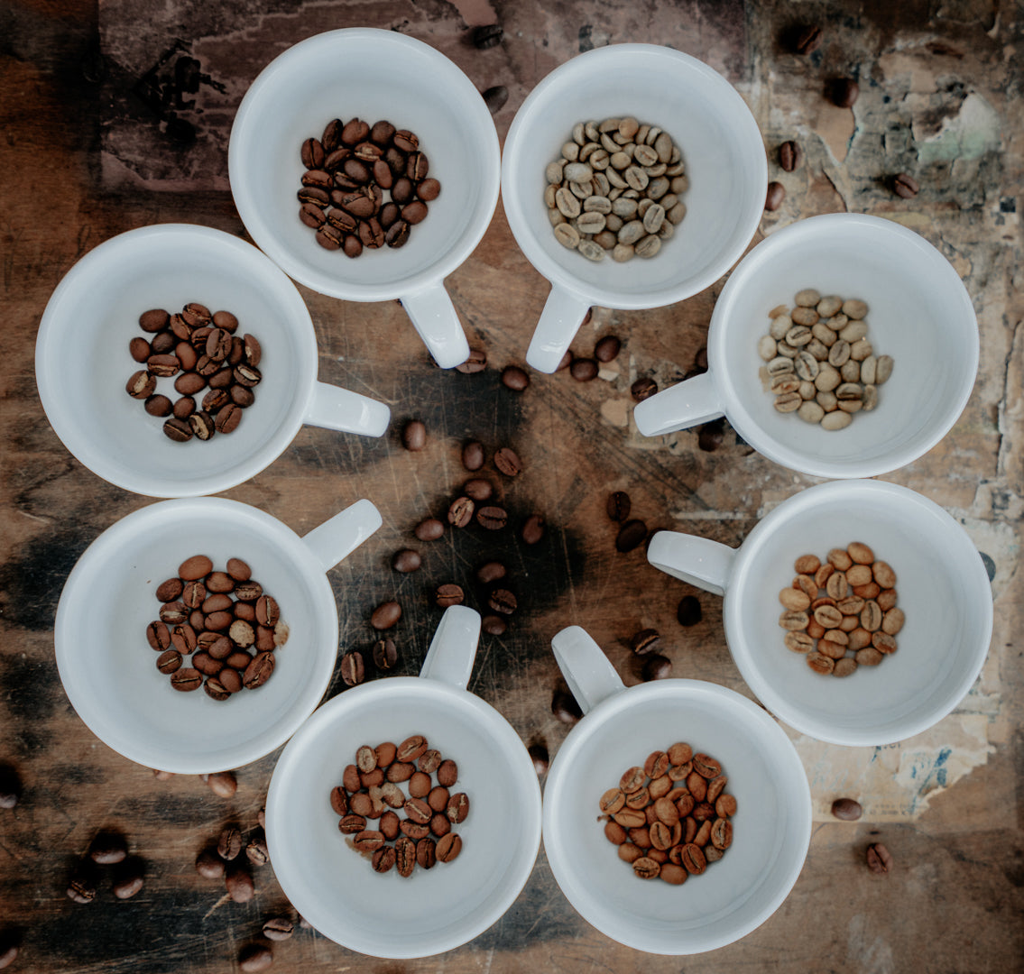 Probierpaket Filterkaffee