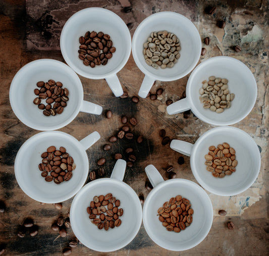Probierpaket Filterkaffee